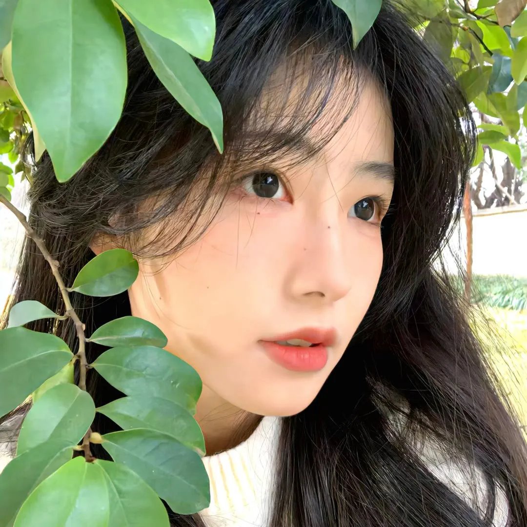 阳光下的影子